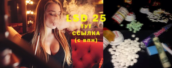 амф Ладушкин