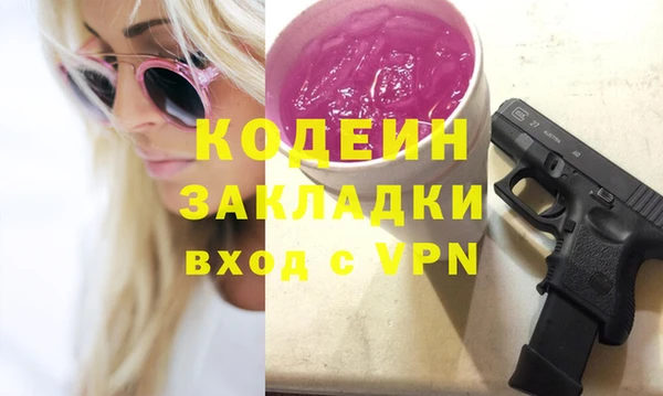 амф Ладушкин