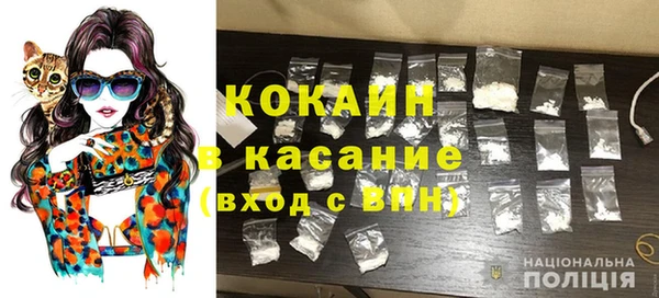 амф Ладушкин
