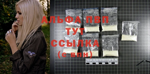 амф Ладушкин