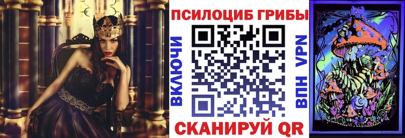где продают наркотики  KRAKEN маркетплейс  Псилоцибиновые грибы Magic Shrooms  Агрыз 