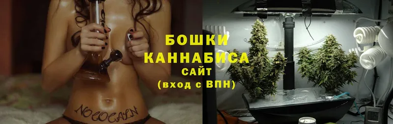 Канабис SATIVA & INDICA Агрыз